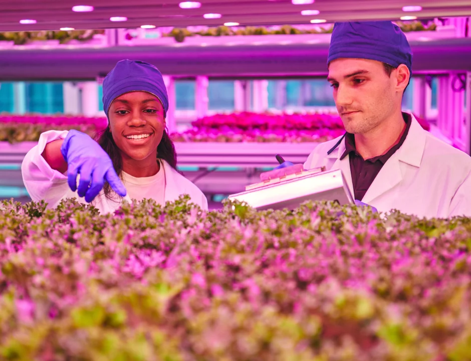 Agriculture students working together